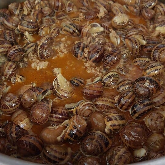 cargols amb suc